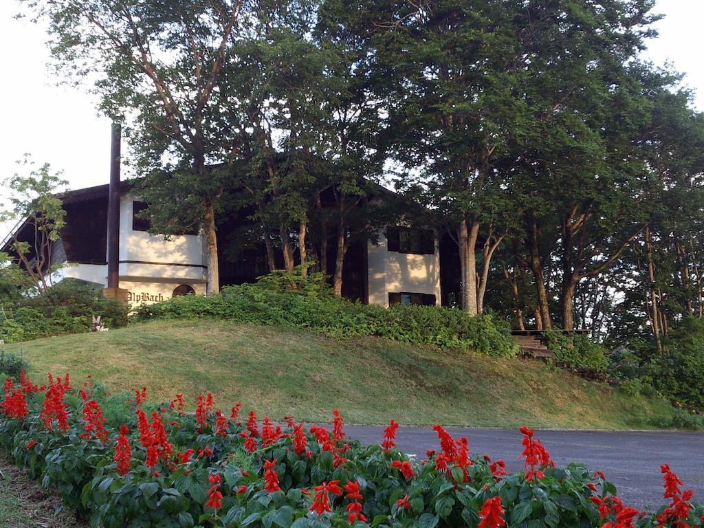 Alp Bach Madarao Βίλα Iiyama Εξωτερικό φωτογραφία